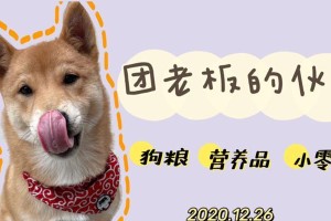 狗下奶快的食物有哪些？（以什么食物可以促进狗下奶，让它们更好地哺乳？）