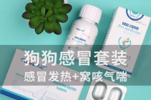 狗狗发烧引起腹泻怎么办？（药物治疗和护理方法）
