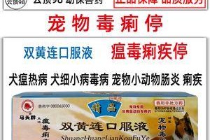 宝宝拉稀应急指南（治疗狗狗宝宝拉稀的有效药物及注意事项）
