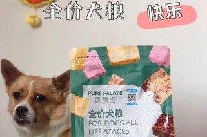 小狗腹泄便不臭的原因（揭秘小狗腹泄便不臭的奥秘）