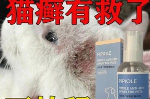 猫粉刺的治疗方法及药物推荐（选择合适的药物是关键，为你的猫咪解决粉刺问题）