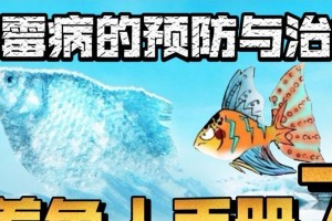 中国斗鱼的水源与质量问题（探究中国斗鱼使用的水源及其质量状况）