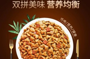 养泰迪幼犬的饲养注意事项（合理喂养泰迪幼犬，健康成长）