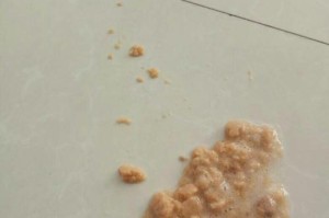 小狗吃饭就吐的原因及应对方法（探究小狗吃饭后呕吐的原因，并提供有效应对方法）
