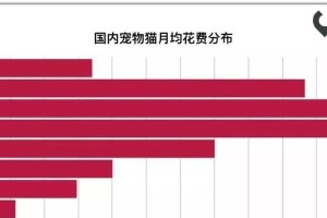 科学喂养猫咪（了解猫咪的食物需求，合理分配每日粮食摄入量）