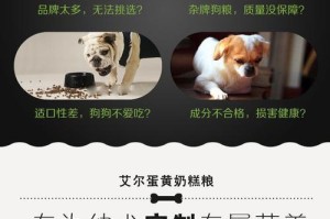 泰迪宝宝适合什么时候开始吃蛋黄？（探讨泰迪宝宝吃蛋黄的最佳时机和注意事项）
