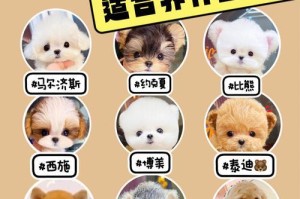 狗狗的特点与魅力（揭秘狗狗的十五个独特特点）