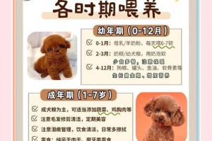 泰迪幼犬的成长周期（探索泰迪幼犬从出生到成熟的奇幻旅程）