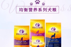 阿拉斯加的食量与年龄（揭开阿拉斯加狗狗的饮食需求与年龄相关性）