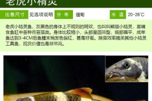 小精灵——神奇的深海鱼类（探索深海奇观，揭秘小精灵的秘密）