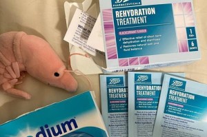 狗狗狂拉稀急需救助，选择合适的药物是关键（探索有效的药物治疗方案，关爱宠物健康）