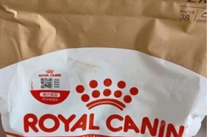 英国短毛猫三个月大的饮食需求（了解适合三个月大的英国短毛猫的饮食，为它们提供健康成长）