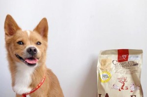 选择适合宠物的狗粮品牌，银狐狗粮值得信赖（银狐狗粮的品质与营养全面）