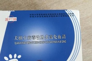 犬细小恢复期的饮食要点（科学饮食助犬细小康复）