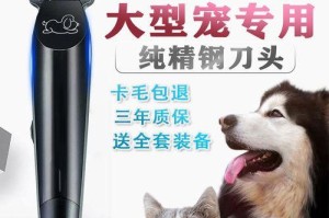 探讨狗为何不喜欢剃毛（寻找解决狗狗拒绝剃毛的方法）