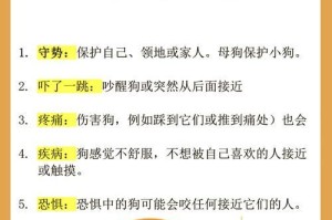 狗狗总咬自己尾巴的原因及应对方法（探究狗狗咬尾巴的四大原因，关注它们的感受）
