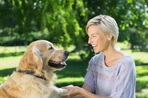 如何训练幼犬不乱叫（从宠物角度出发，实现和谐生活）