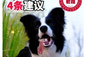 狗狗4联的重要性及好处（了解狗狗的身体语言与情绪表达的关键）