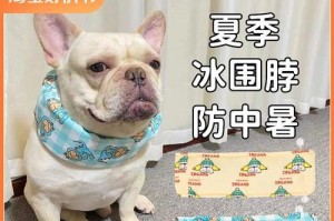如何预防柯基犬中暑（以宠物为主，从这15个方面开始）