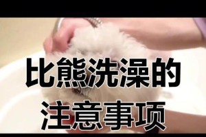 比熊犬的洗澡频率与注意事项（比熊犬洗澡的关键是适度清洁，注意温度和保护毛发）