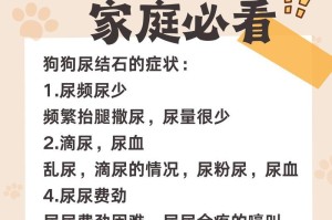 宠物肾结石的成因及治疗方法（探究宠物肾结石的病因、预防与治疗）