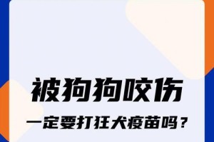 为宠物狗狗打狂犬疫苗的重要性（保障狗狗健康，预防疾病传染）