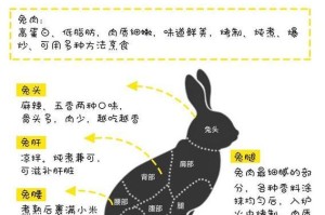 豫丰黄兔的饲养方法（打造高效养殖模式，让兔子更健康）