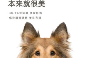 喜乐蒂牧羊犬太臭？教你5个方法解决！（告别犬臭，让你的喜乐蒂牧羊犬重新焕发清新气息）