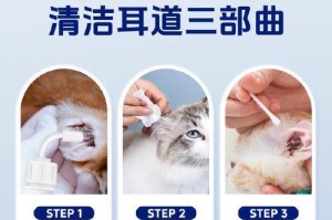耳朵的秘密世界（探寻猫耳朵的奥秘）