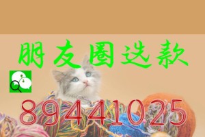 泰迪犬（泰迪犬价格一览，如何准确判断品相？）