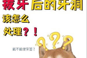 狗狗拔牙的注意事项（了解狗狗拔牙前后需要注意的问题）