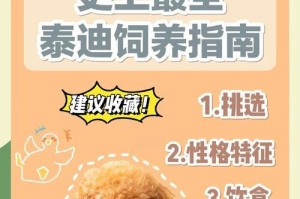 泰迪犬的指甲修剪频率及注意事项