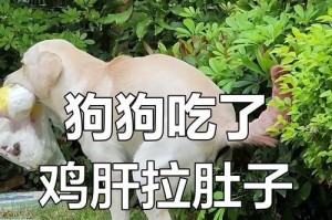小狗拉肚子的原因及治疗方法（了解小狗拉肚子的原因，正确喂养以促进康复）