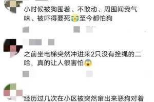 为什么遛狗狗不跟着你？（探究狗狗不愿跟随主人遛步的原因与解决办法）
