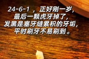 软化小狗牙垢的有效方法（使用哪种方法可以帮助小狗减少牙垢的问题？）