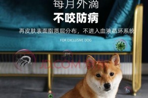 宠物驱除跳蚤，这几个方法必须知道！（驱虫除跳蚤，让宠物远离烦恼。）
