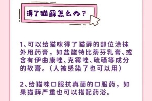 揭秘猫癣（探索猫癣的原因及预防方法）