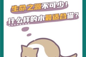 猫咪的饮水习惯及原因分析（探索猫咪每天正常饮水量与不爱喝水的原因）