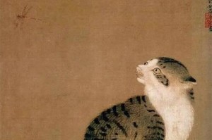 青海田鼠的饲养方法（打造完美的饲养环境，让青海田鼠健康快乐）