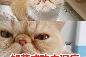 盐水洗泪痕的好处（为眼睛健康，洁净无泪痕）