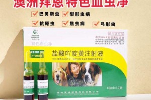 如何处理宠物狗感染蛔虫问题（预防、治疗和注意事项）