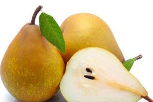 以法斗能否吃梨子？——解析宠物饮食健康问题（科学饲养让爱宠健康快乐）
