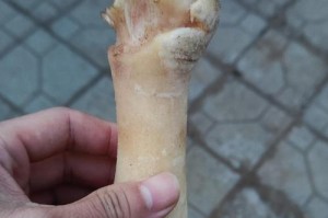 狗狗啃羊蹄需要煮多久？（探究煮羊蹄的时间对狗狗健康的影响）