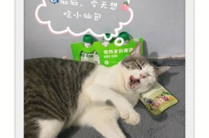 秋田犬太瘦了怎么增肥？（为你的秋田犬增加体重的有效方法）