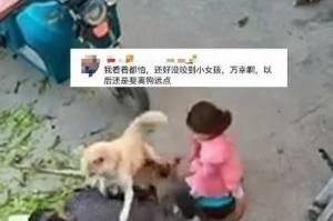 为什么狗狗喜欢咬主人的衣服手（探究狗狗喜欢咬主人的行为动机）