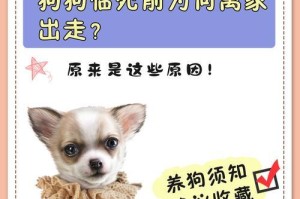 为什么有些狗不会叫？（探究狗不会叫的原因和可能的解释）