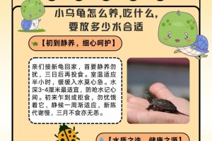 乌龟的饮食需求及适宜食物选择（乌龟该吃些什么东西？）