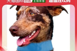 狗狗脖子肿块不可忽视的重要性（如何判断狗狗脖子肿块是否值得关注？）