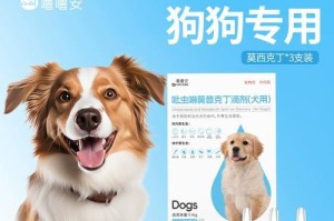 治疗狗狗耳螨的药物及方法（选择合适的药物和正确的方法，帮助狗狗去除耳螨）