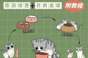 如何让猫咪不挑食？（15个实用方法教你解决猫咪挑食问题）